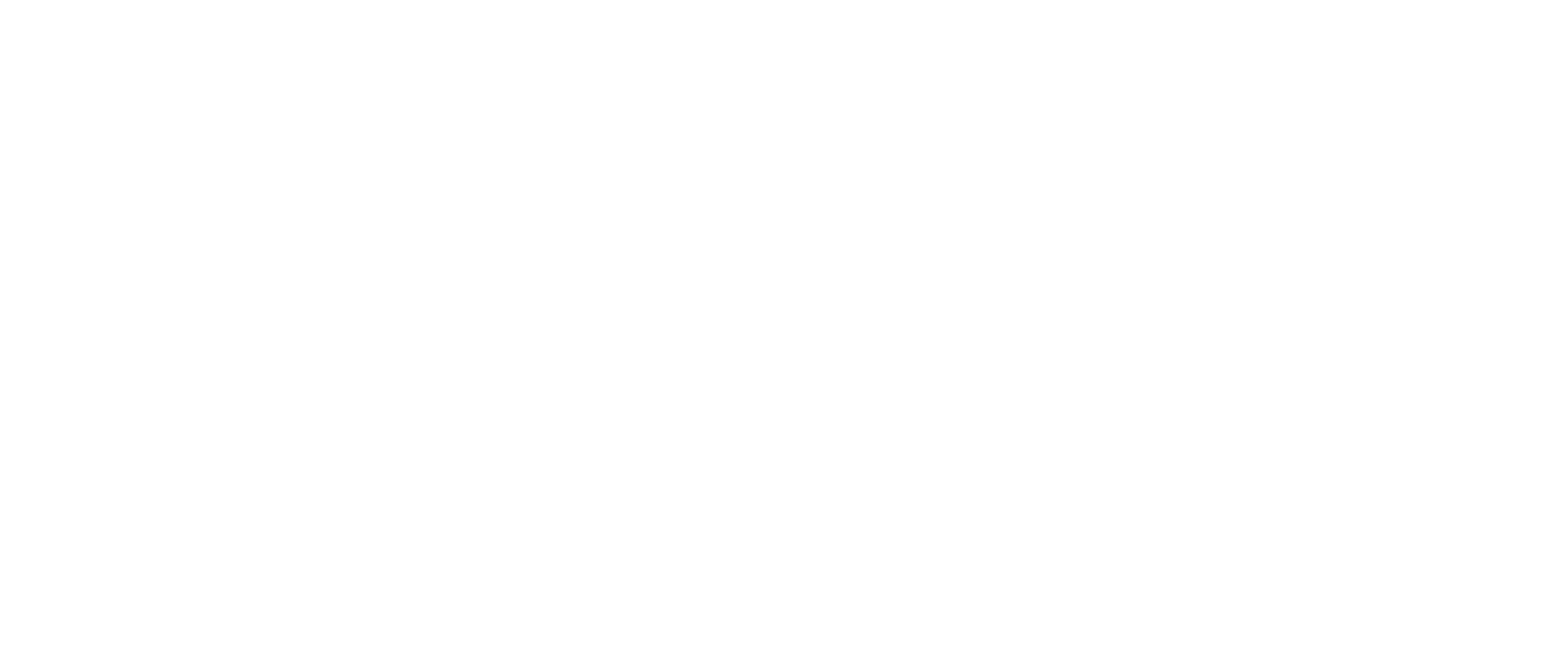 logo CICLO ACADEMY_branco